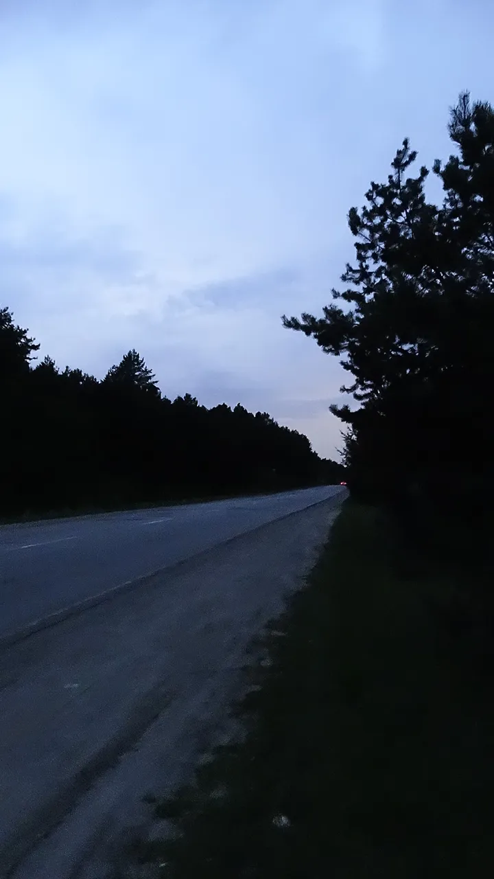 DSC02974.JPG