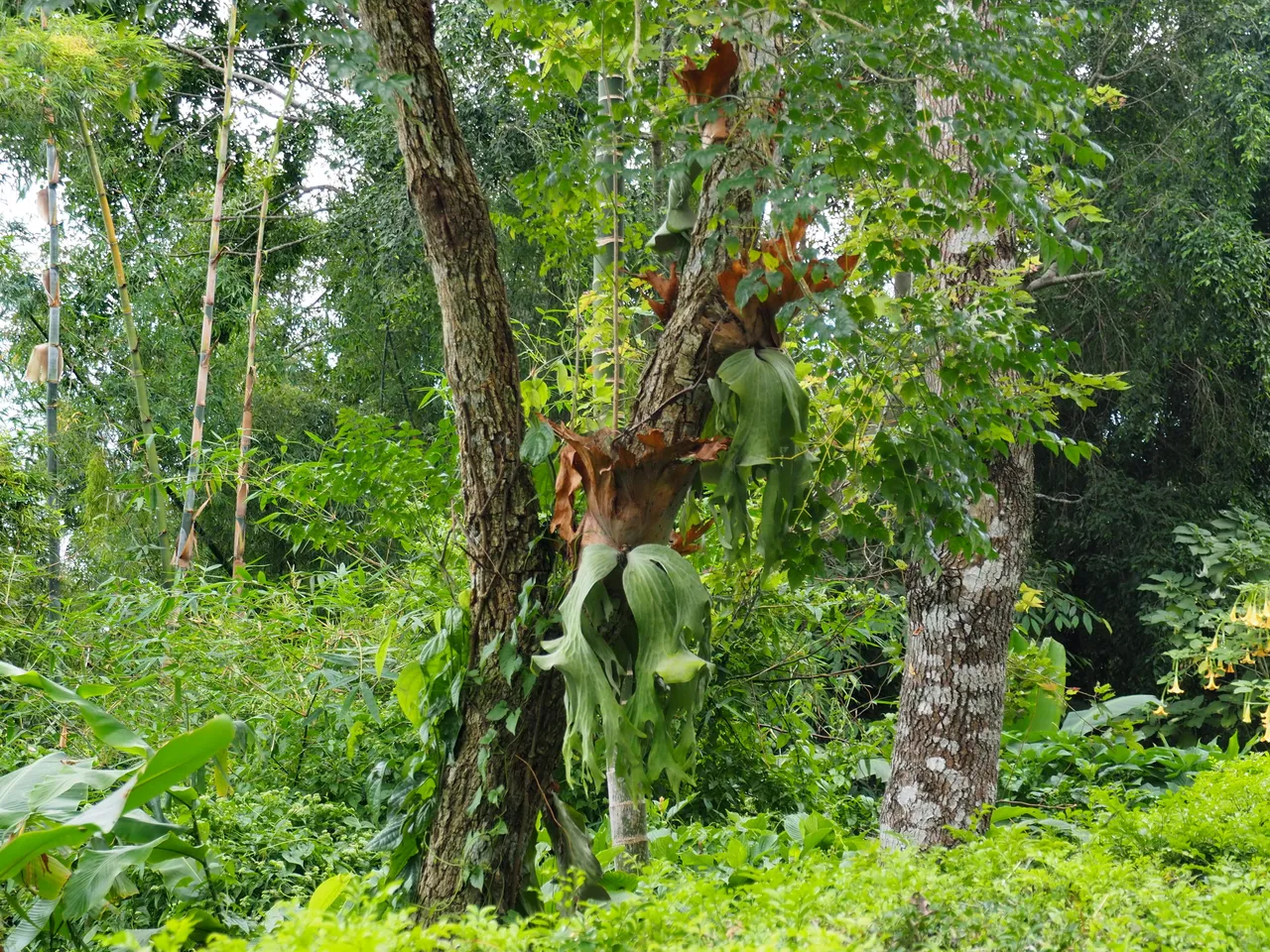 DSC08965.JPG