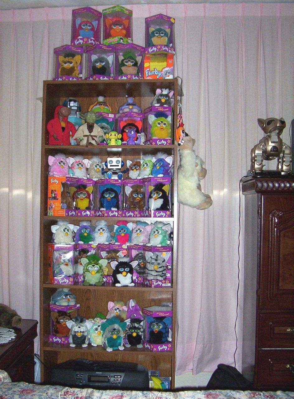 000_0073.JPG