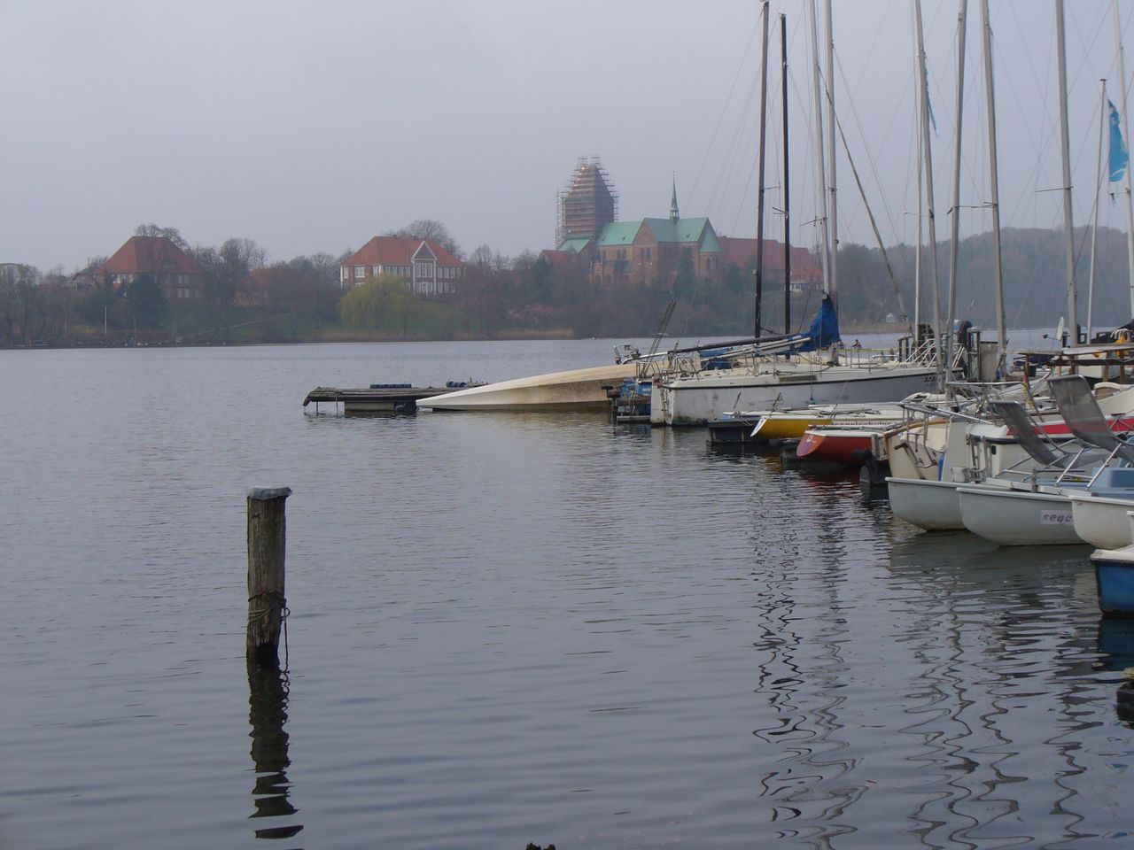 P1030435.JPG