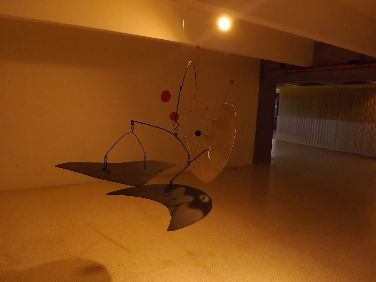 DSCF9685.JPG