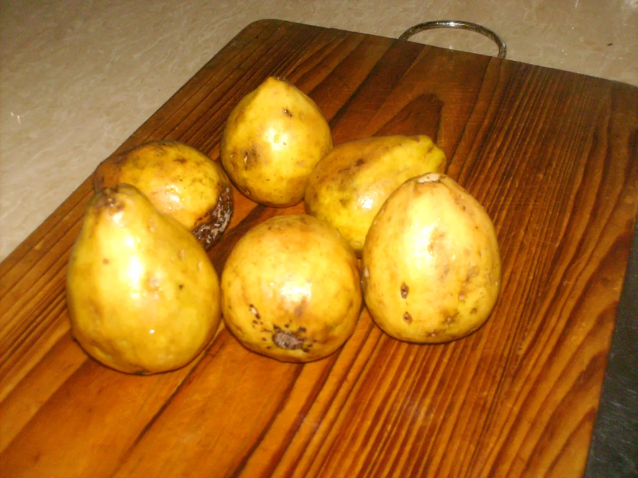 HPIM0237.JPG