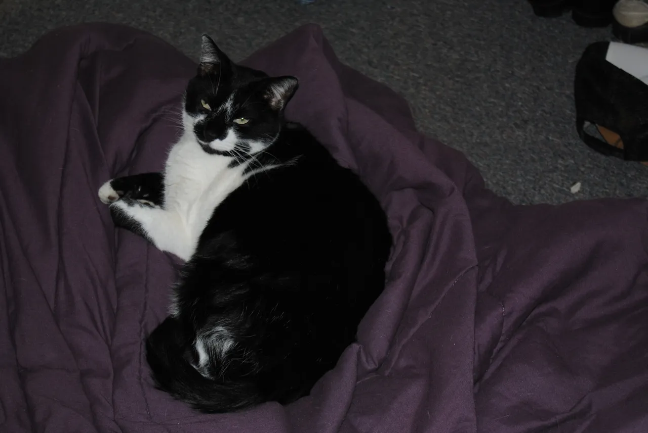 DSC_0020.JPG