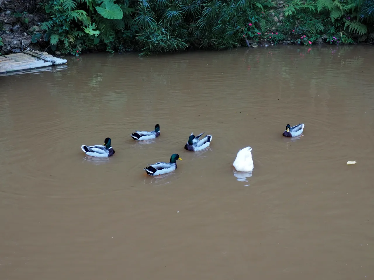 DSC08956.JPG
