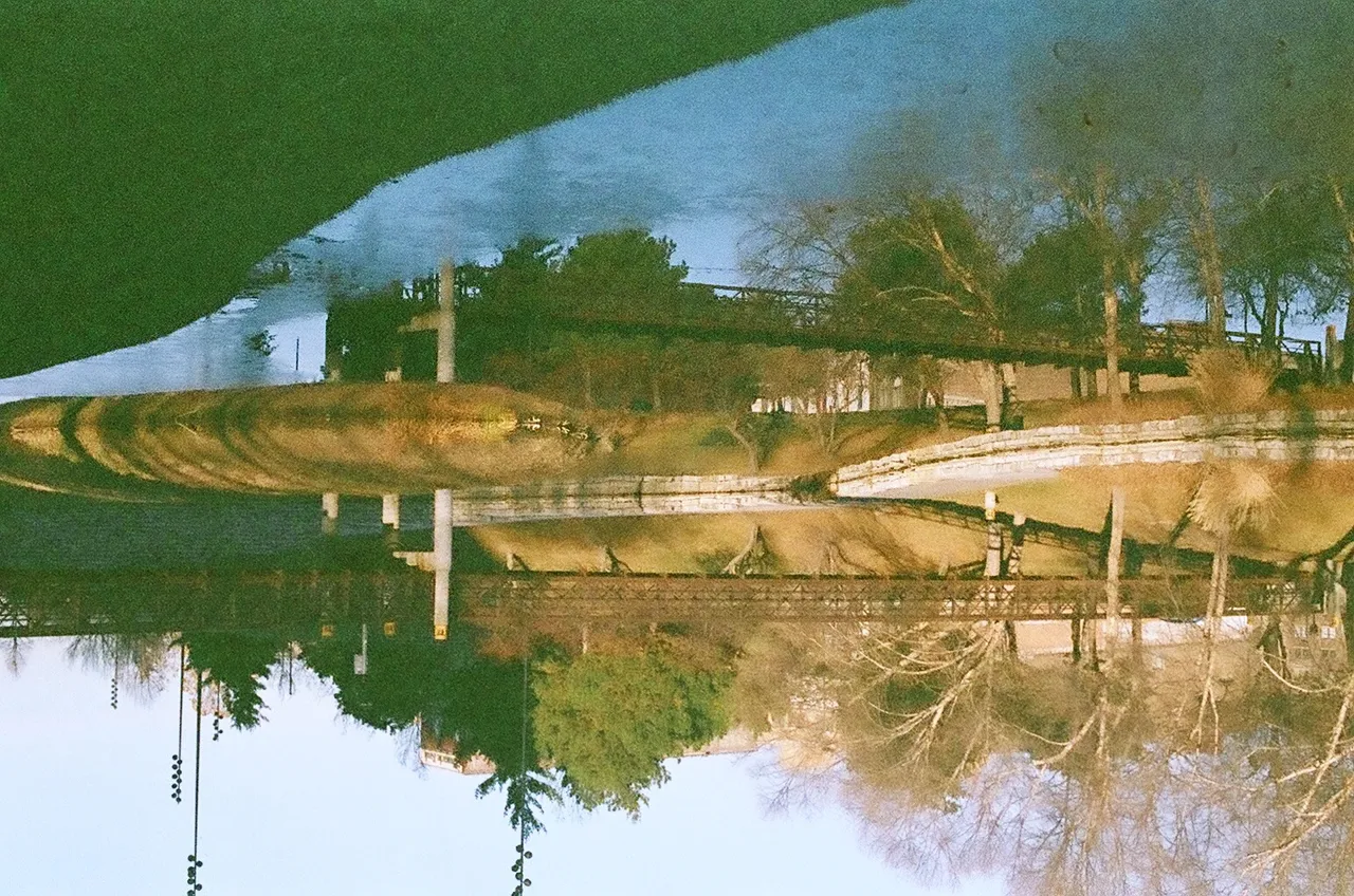 24770006.jpg