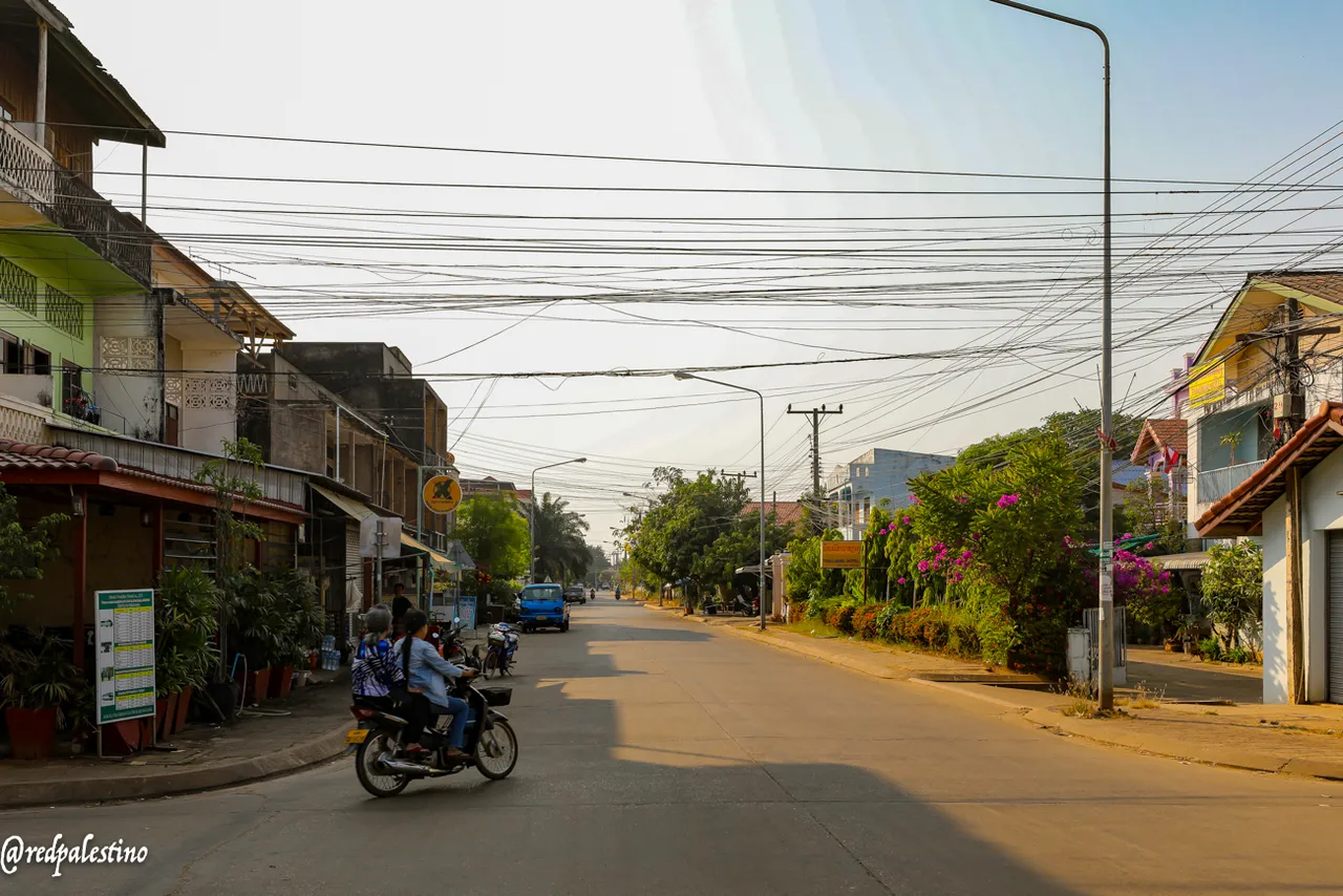 1C5A8981.jpg