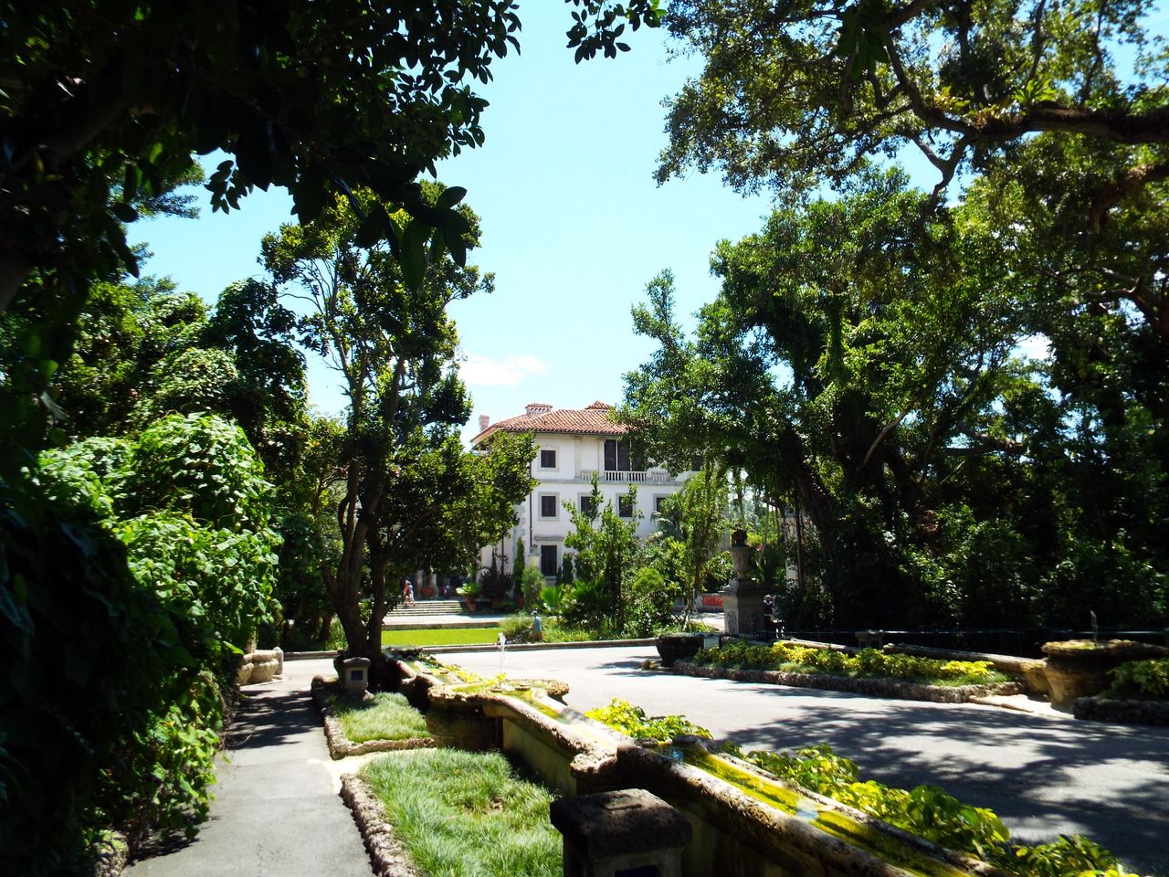 DSCF9687.JPG