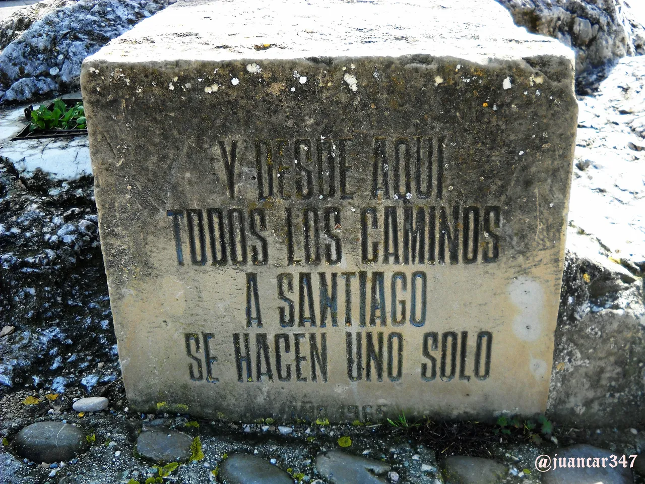 DSCN9772.JPG