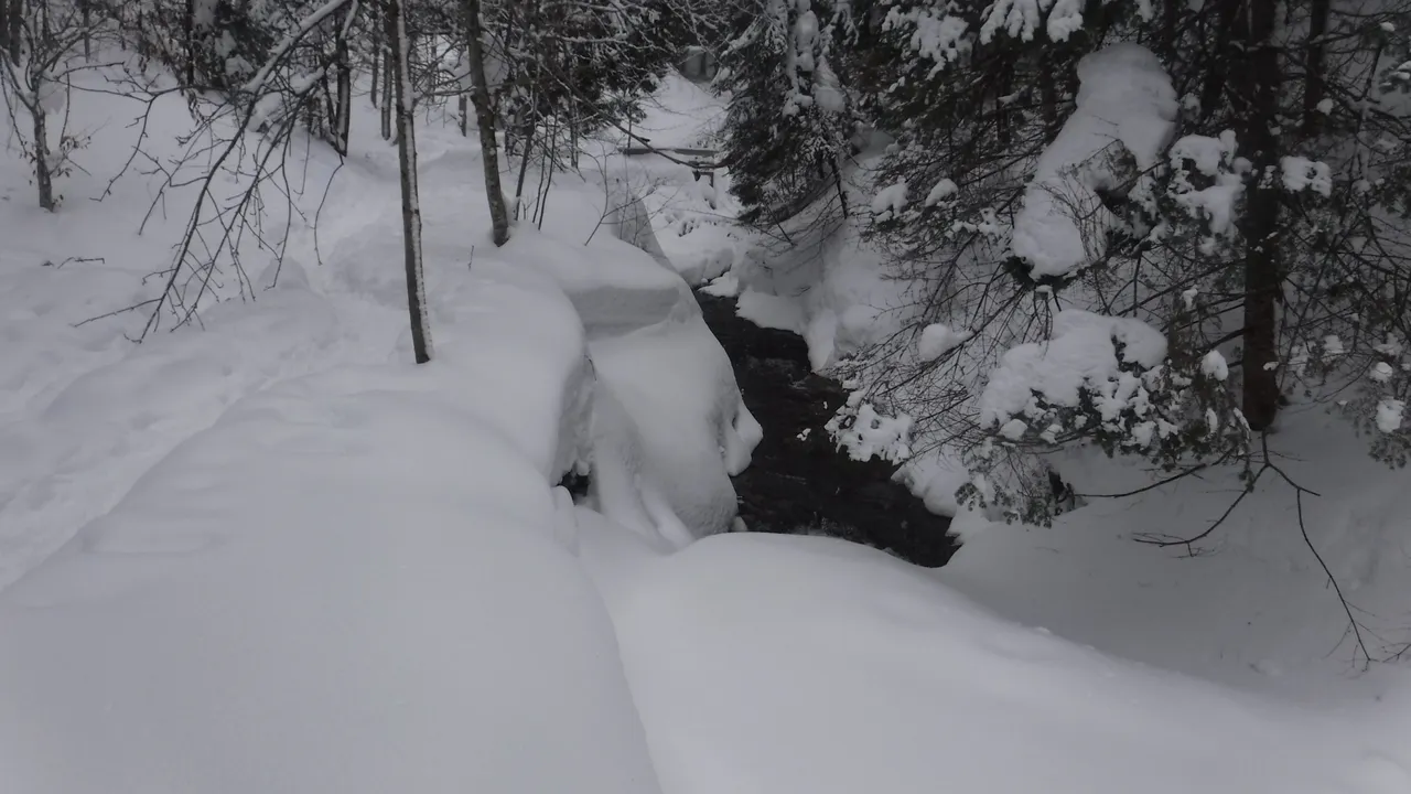 DSCF8255.JPG