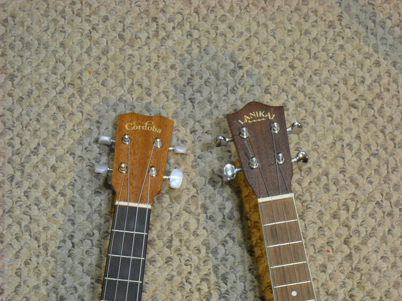 DSCN0617.JPG