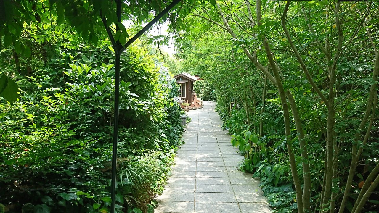 DSC_1215.JPG
