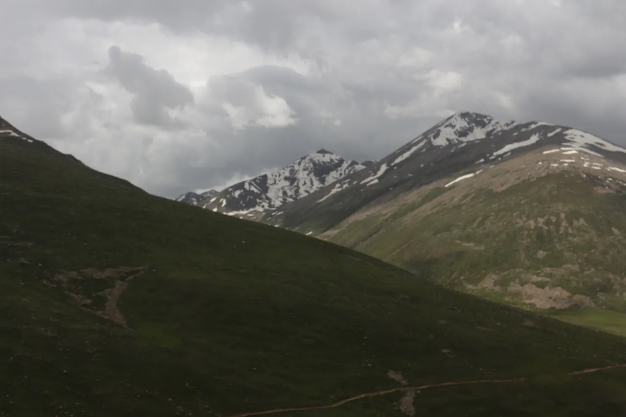 IMG_6954.JPG