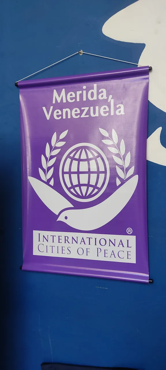 1701527194192.jpg