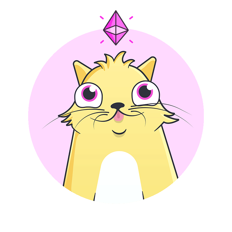 Cat-eth555565.gif