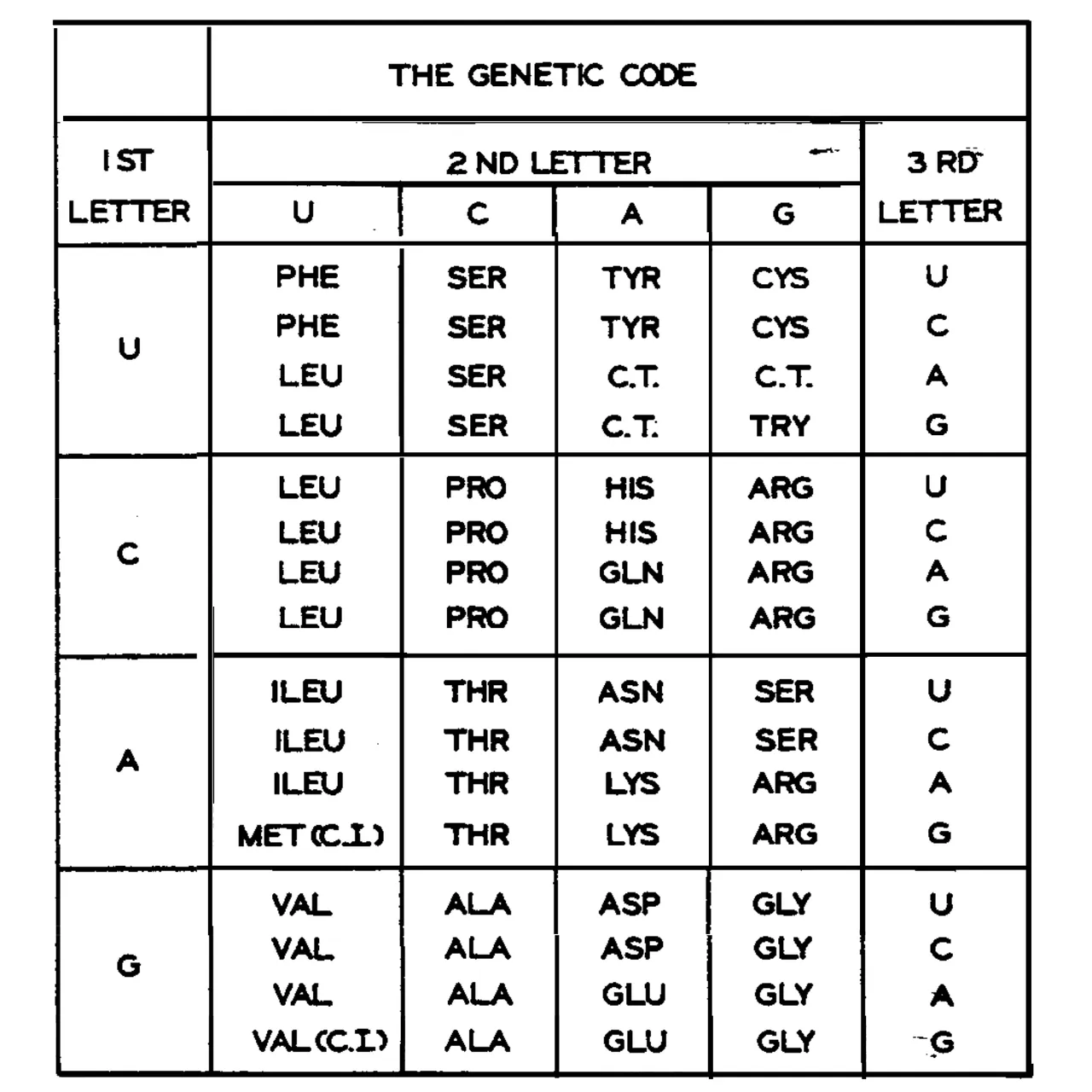 khorana-code.png