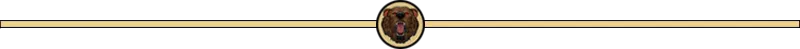 V8 Separator.png