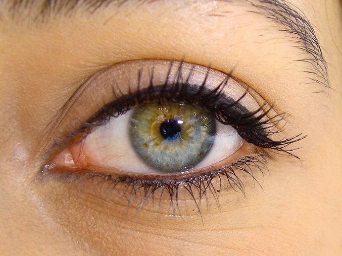 Eye Health 1.jpg
