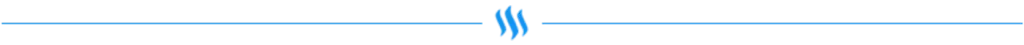 STEEM BORDER.png