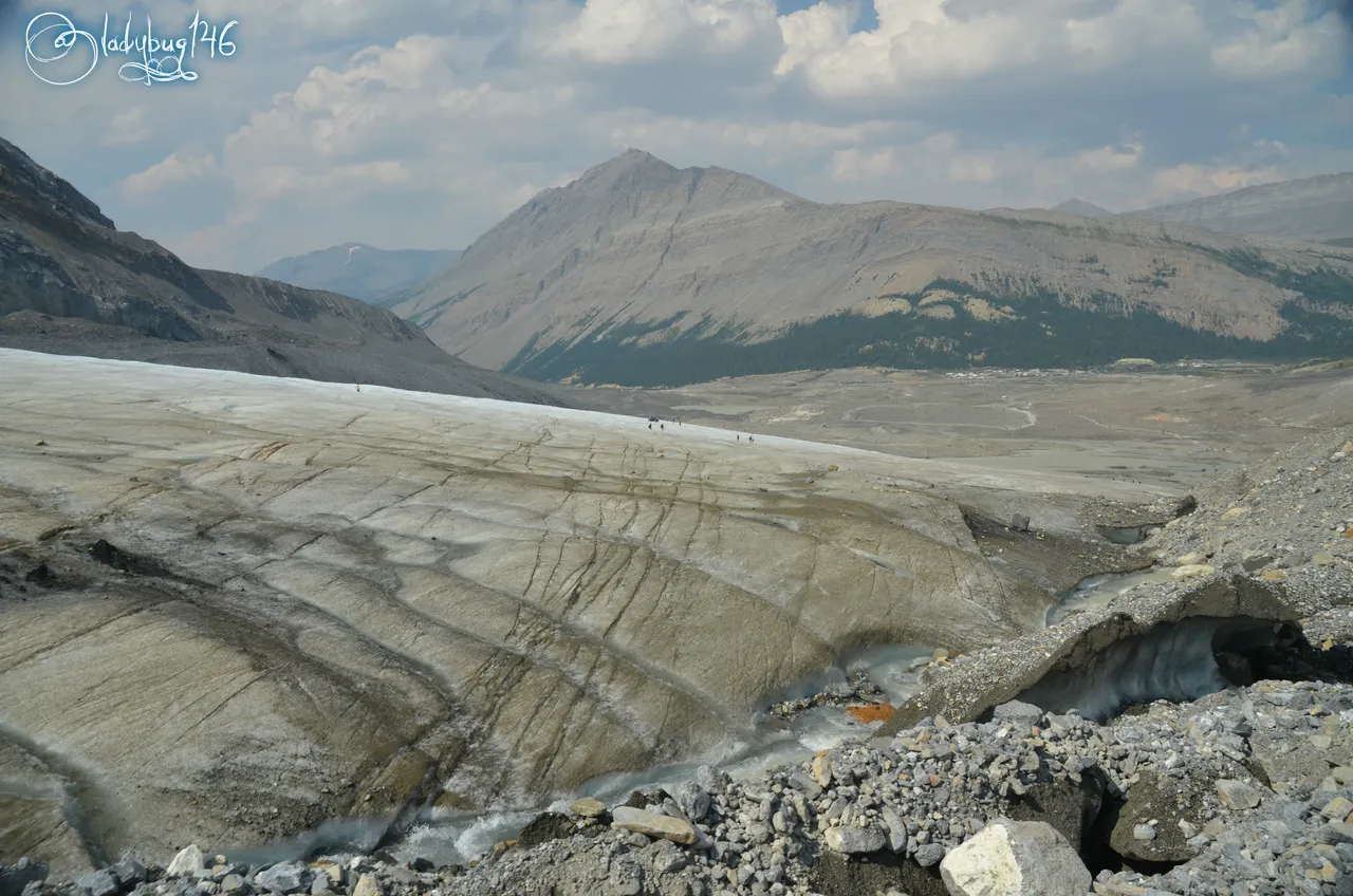 columbia icefields7.jpg