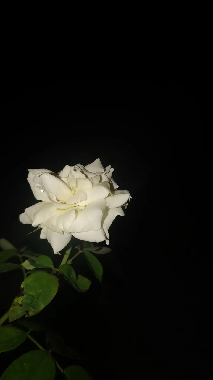 IMG_20180713_205833.jpg