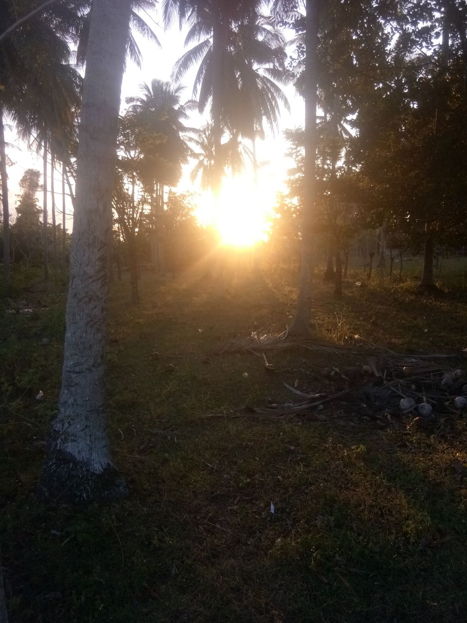 IMG_20200104_181434.jpg