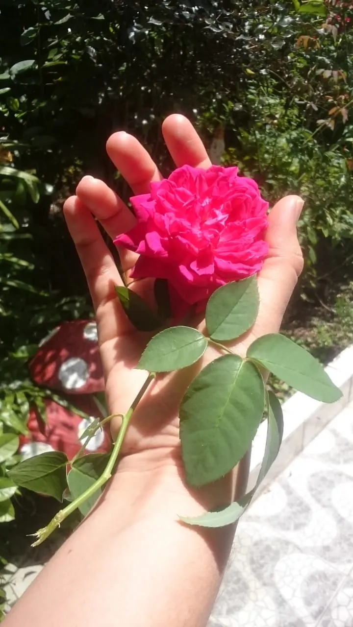 IMG-20190923-WA0010.jpg
