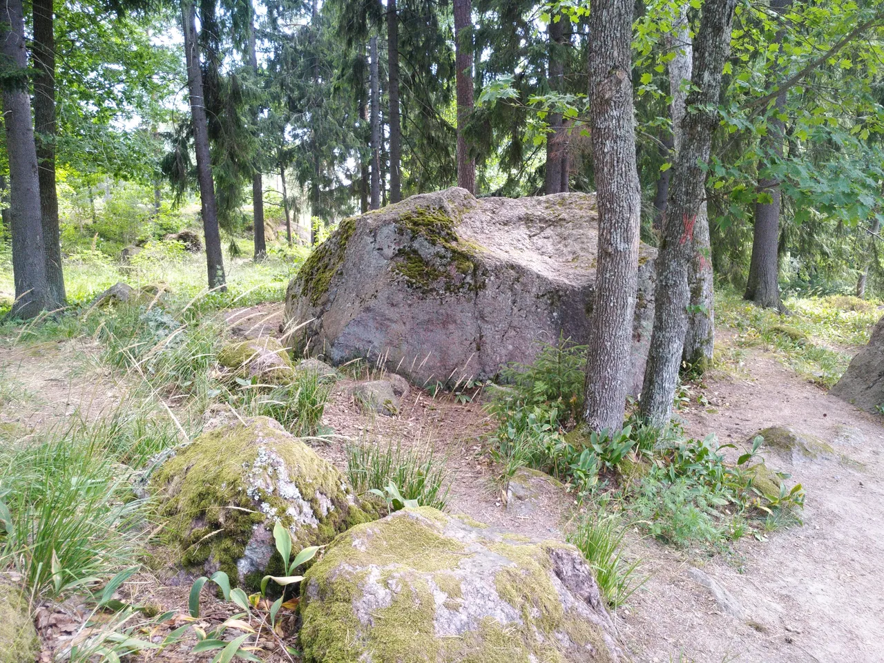 IMG_20180722_150213.jpg