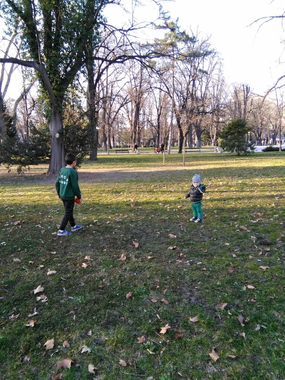 IMG_20190304_170630.jpg