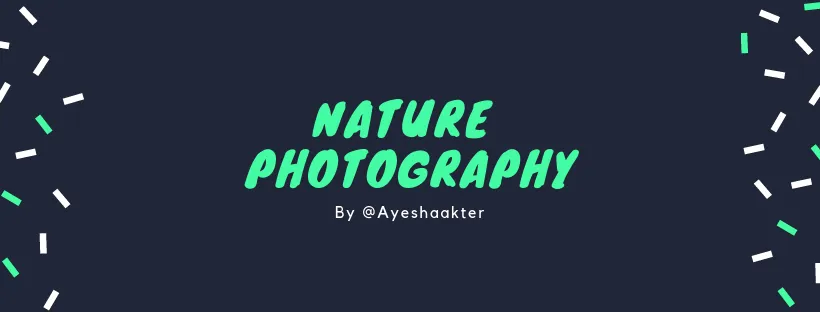 Natural Photography.png