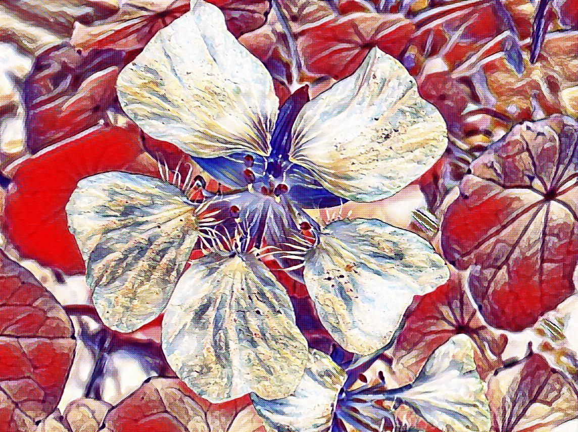 IMG2143negative_art.jpg