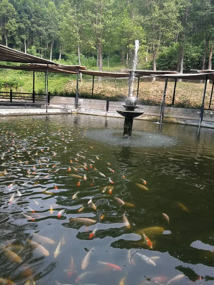 IMG-20190924-WA0010.jpg