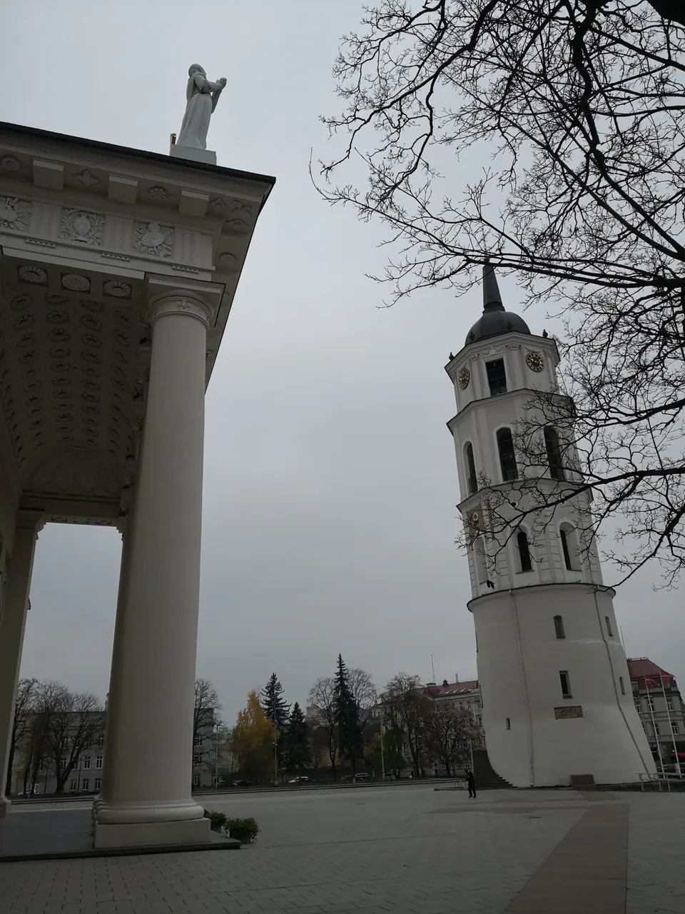 IMG_20181106_091415.jpg