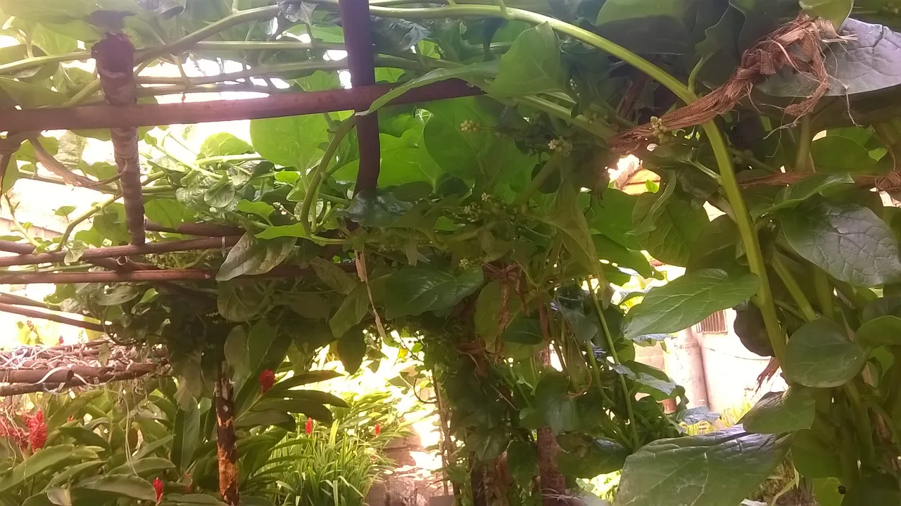 WP_20210622_05_00_54_Pro.jpg