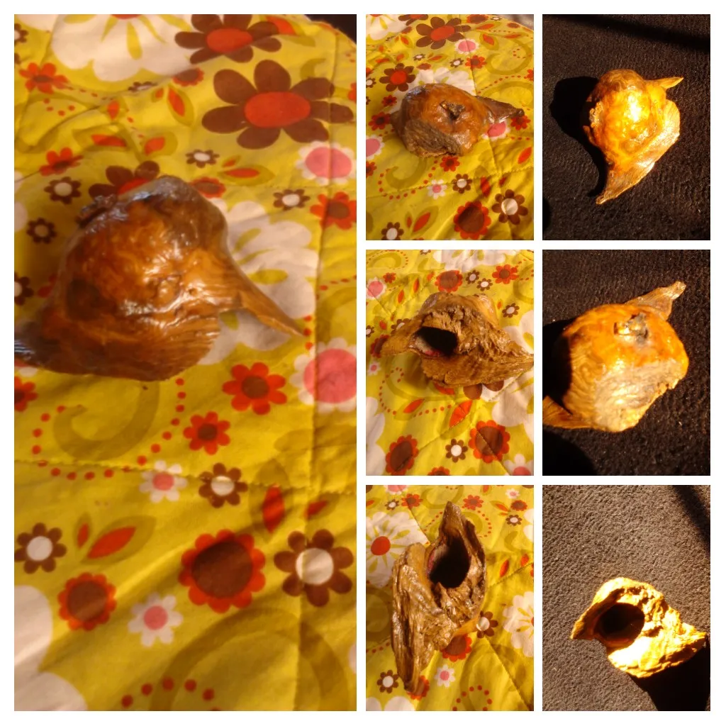 20180212_135141-COLLAGE.jpg