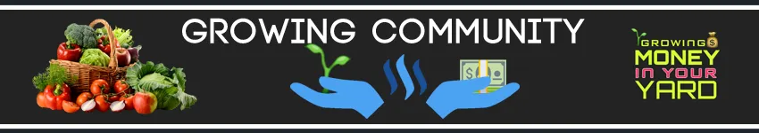 grow_community-grow-pro.png