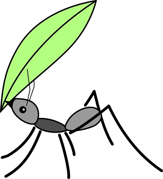working ant