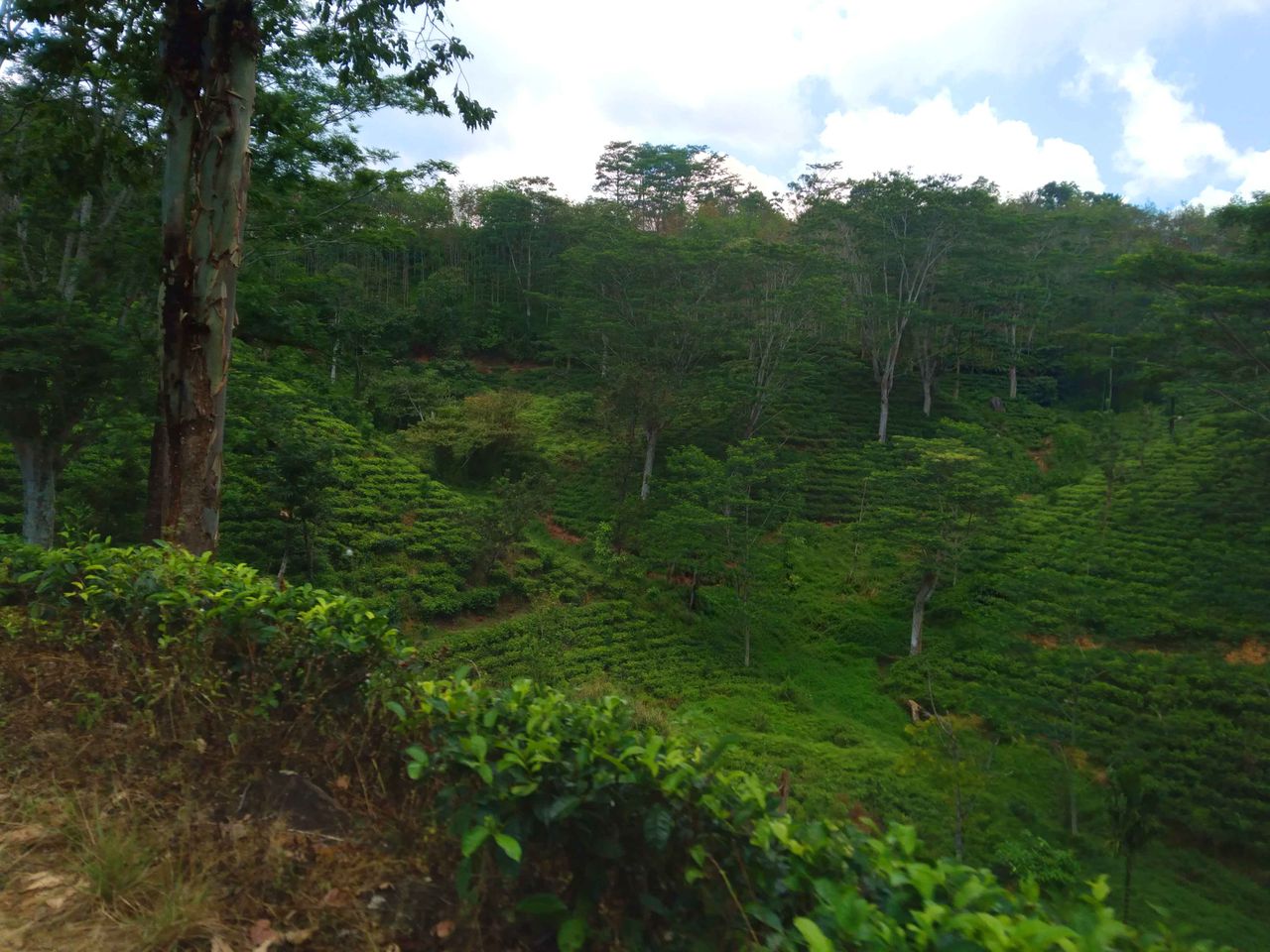 Among the Memories of Deniyaya – A Beautiful Journey .