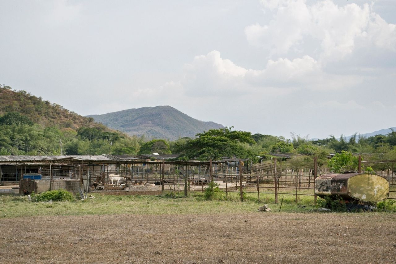 C10.jpg
