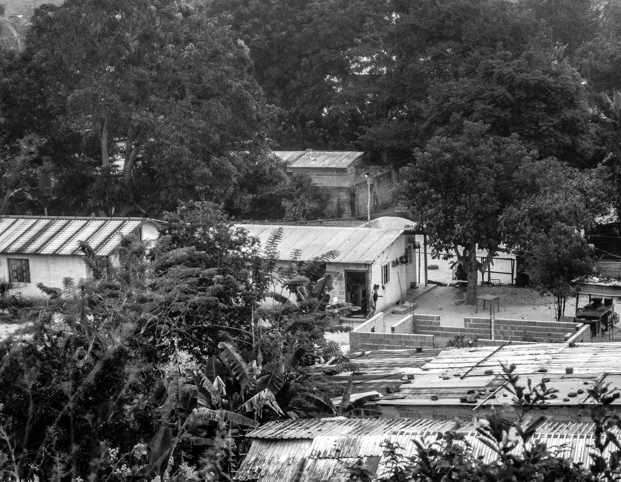 C03.jpg