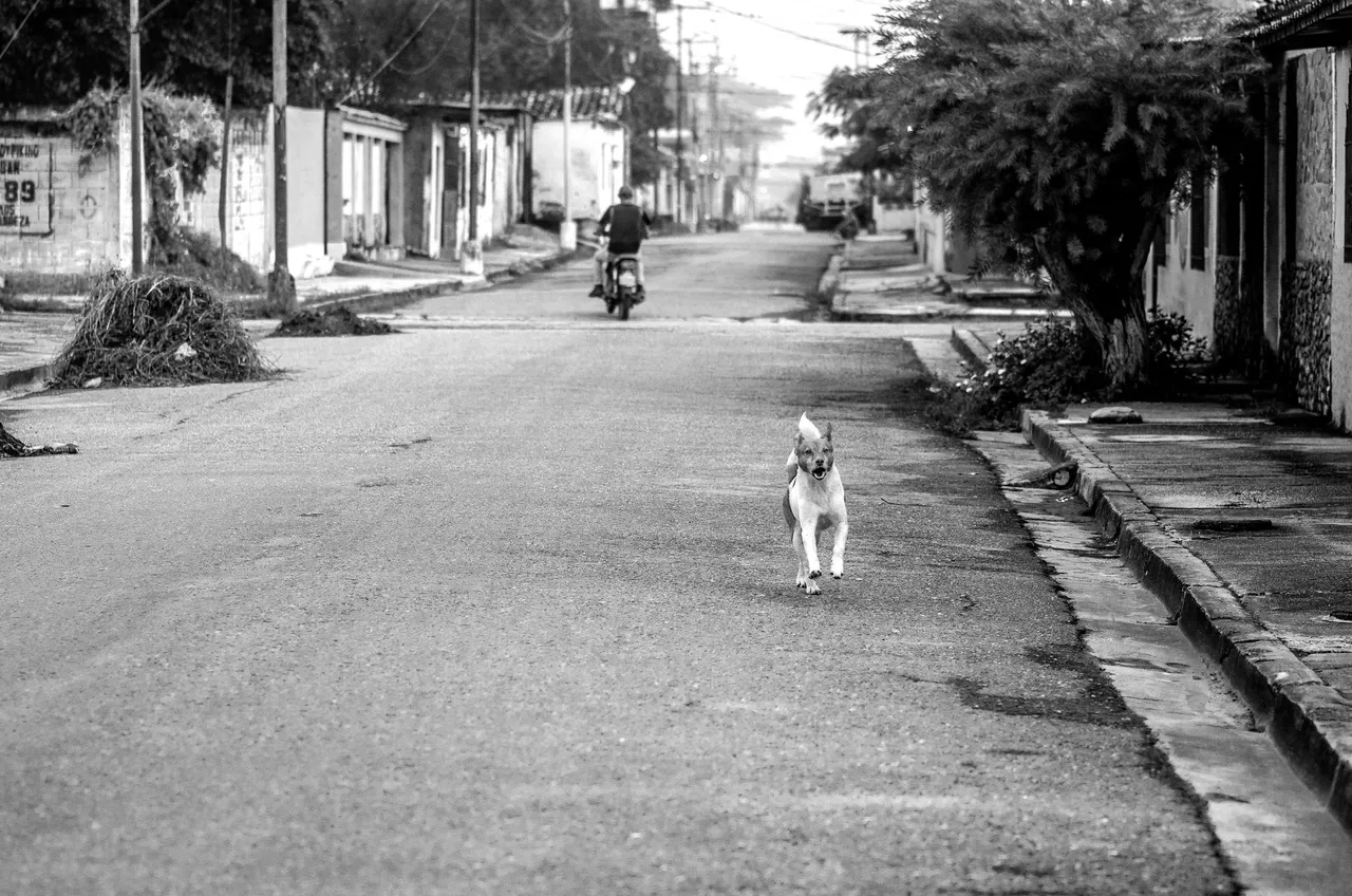T05.jpg