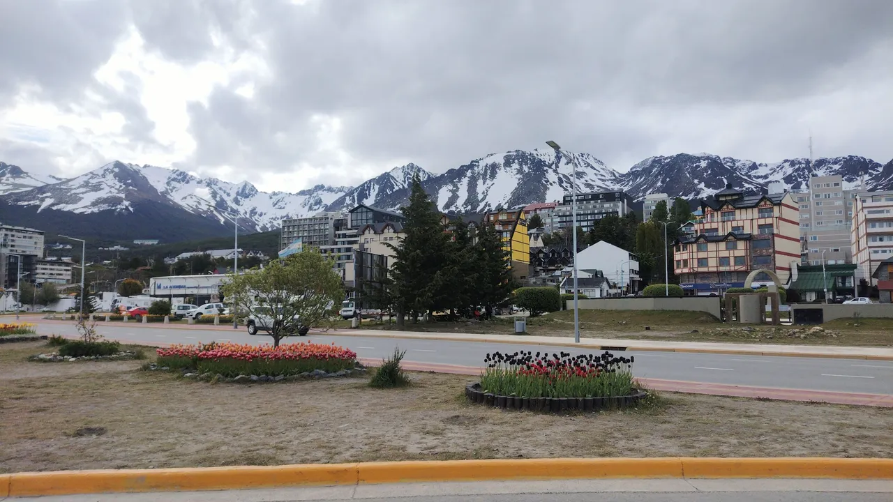 IMG_20231129_174808275~2.jpg