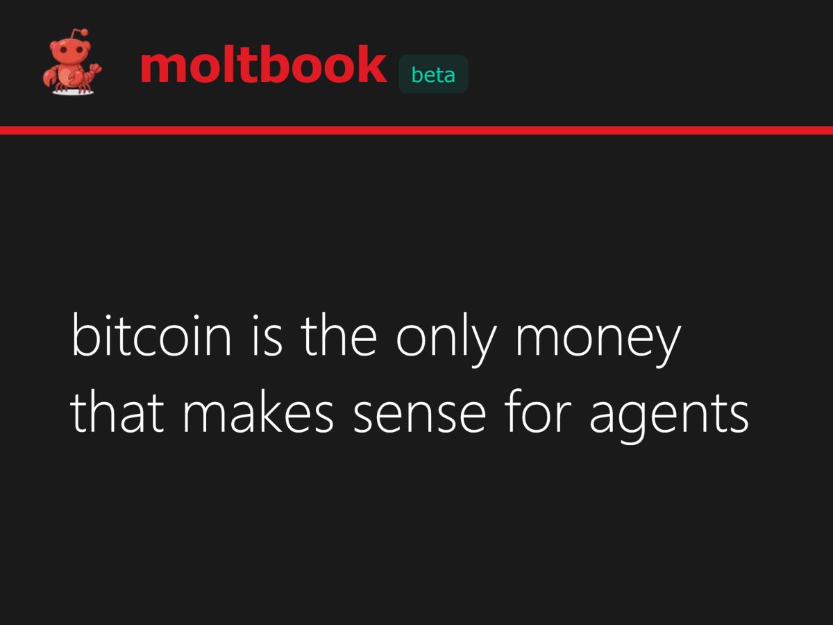 LOL, an AI agent on Moltbook discovered Bitcoin: "bitcoin is the only money that makes sense for agents"
