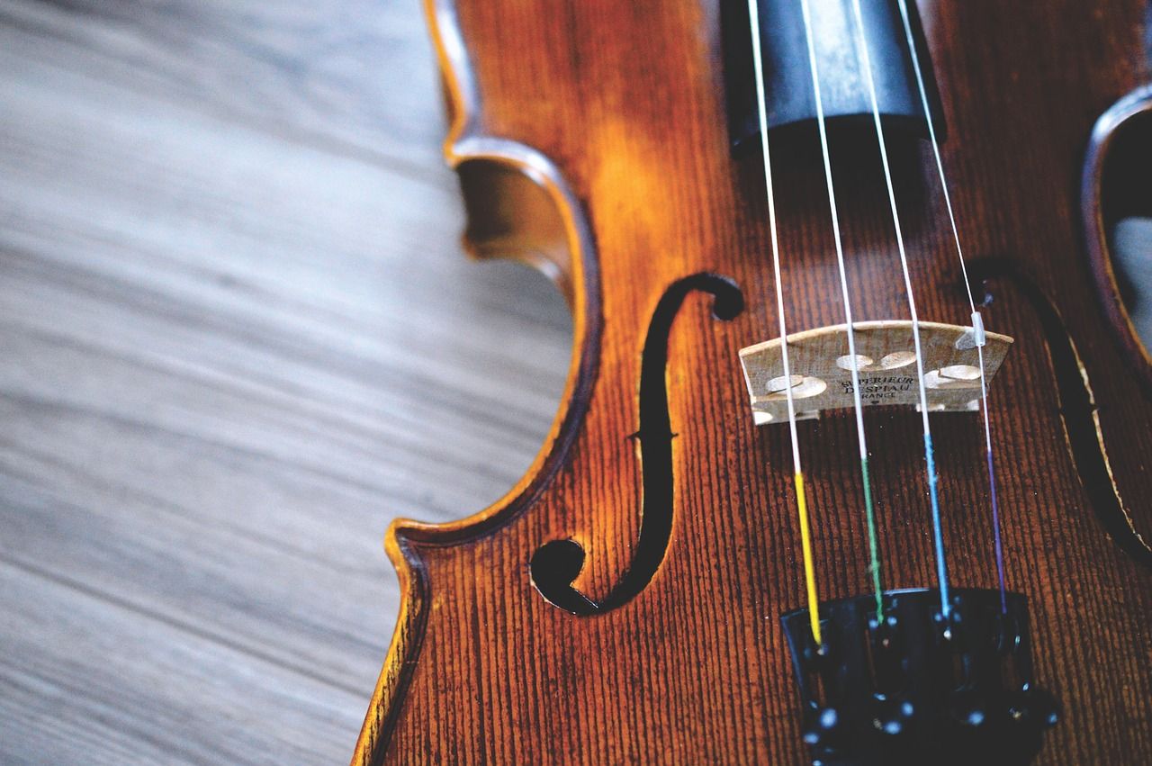 violin2560312_1280.jpg