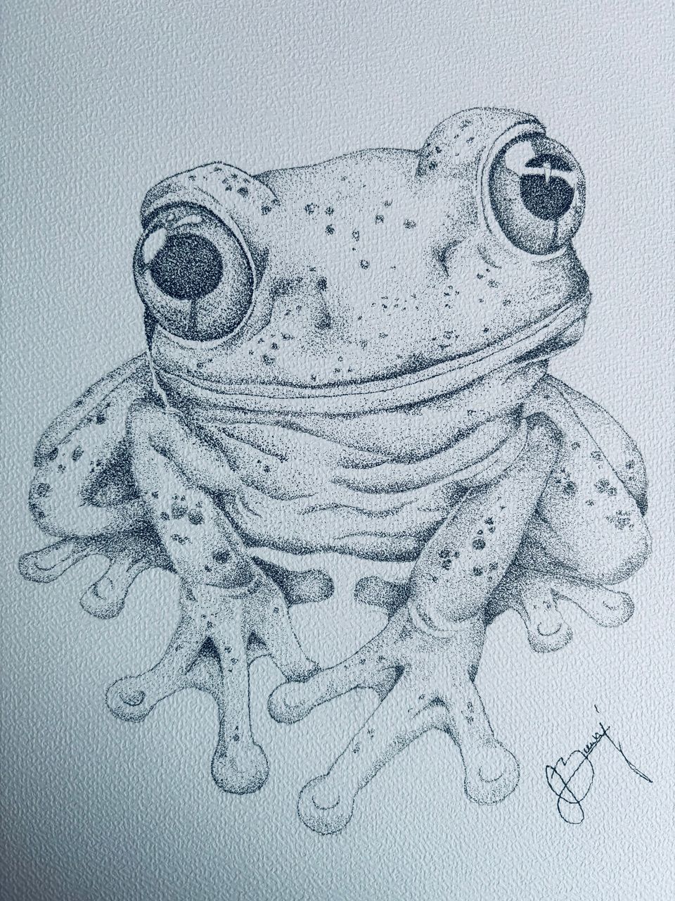 Little Frog PL/ENG