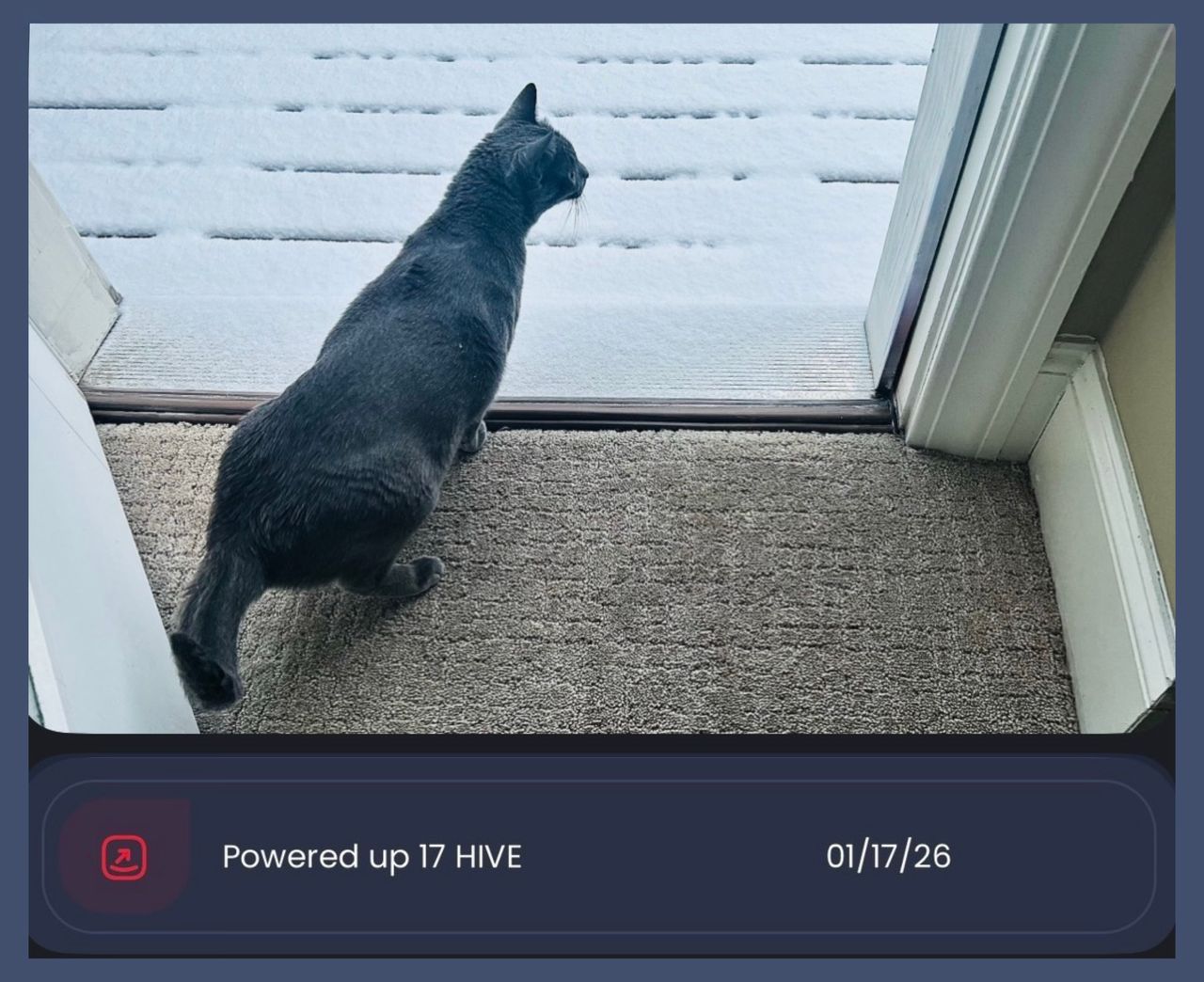 My First Winter's Snow 🌨️ + NisaBoo 🐱 + A Power 🆙