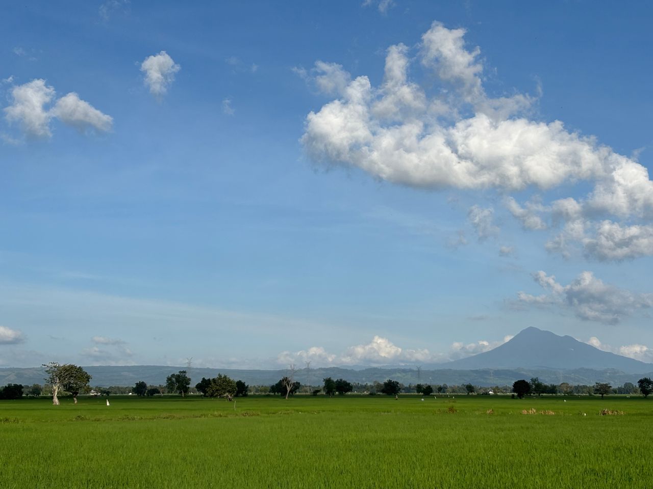 Greens View