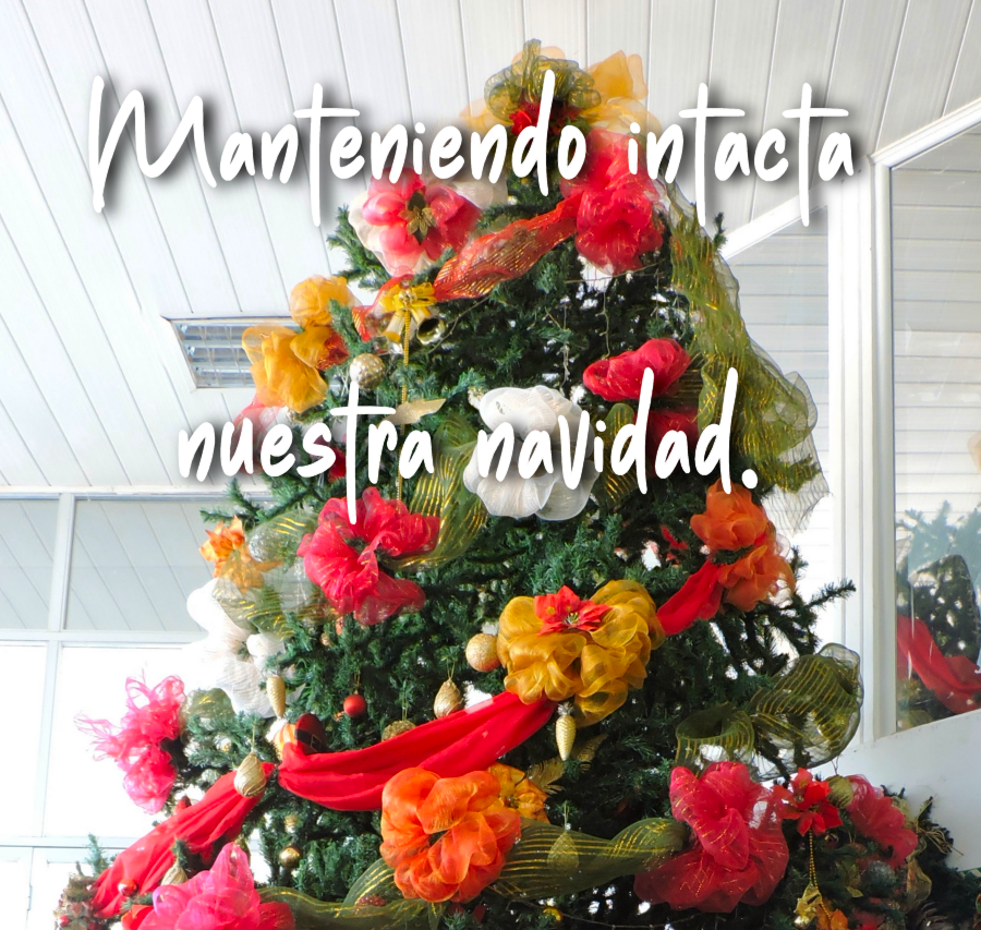 La navidad que está dentro de mí.