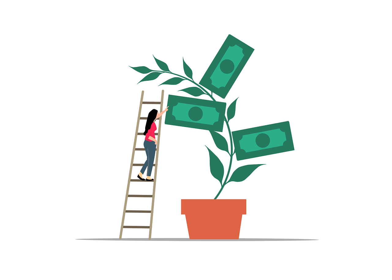 Indiaunited contest : Theme: How do I manage my income