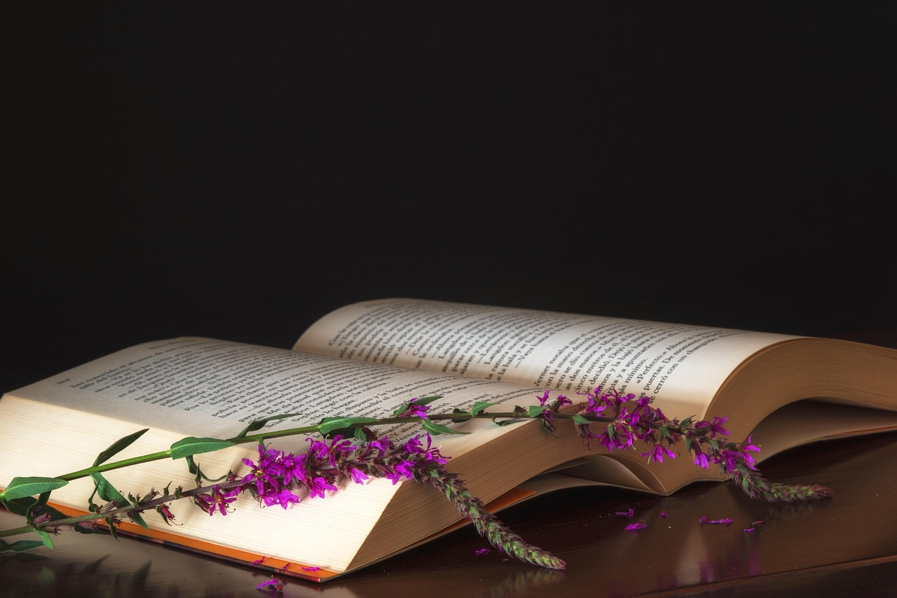 The Book of Voice: A Poem about Democracy