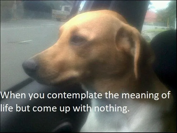 Life.jpg